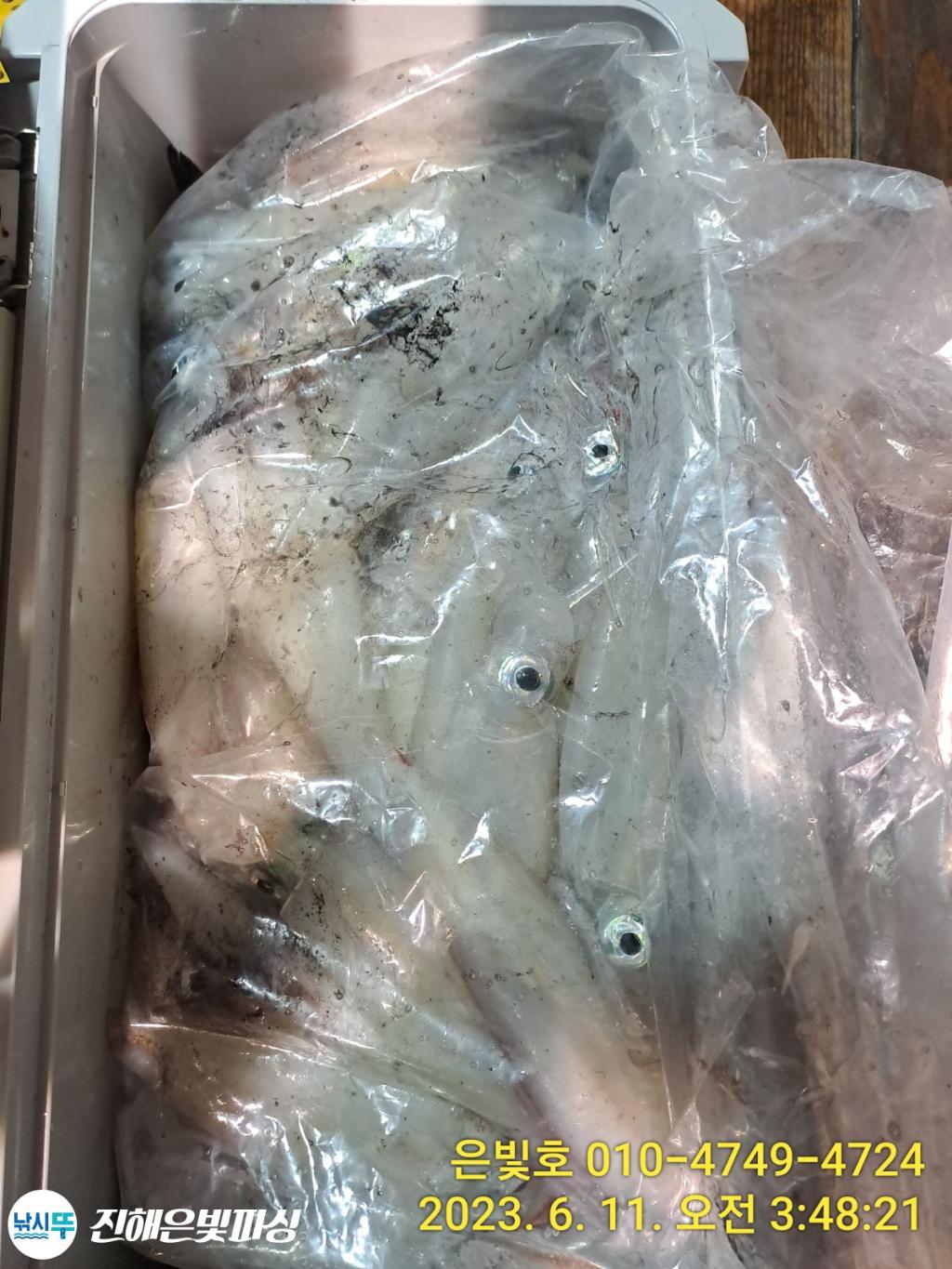 F207863288.jpg