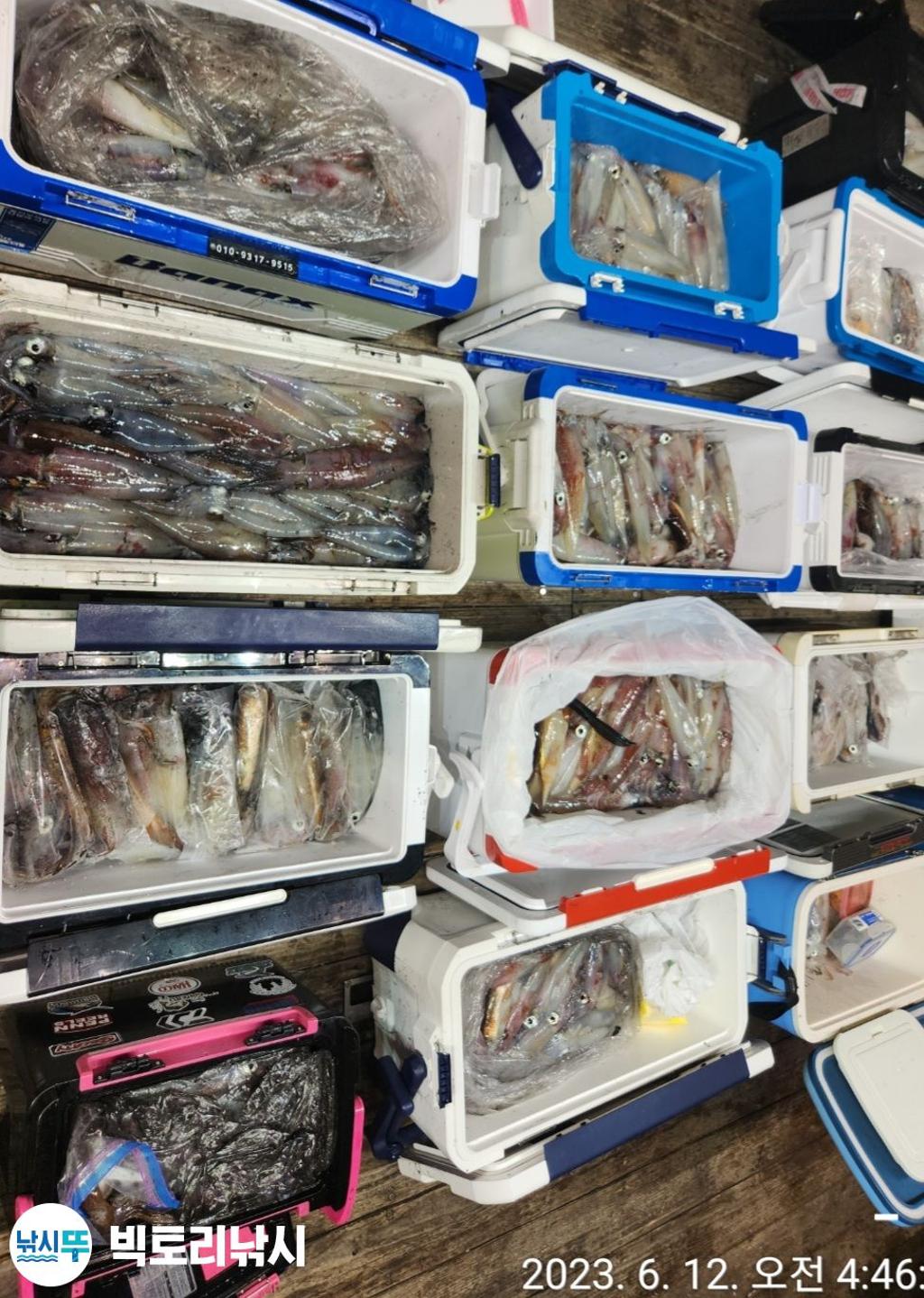 F2081114WL.jpg