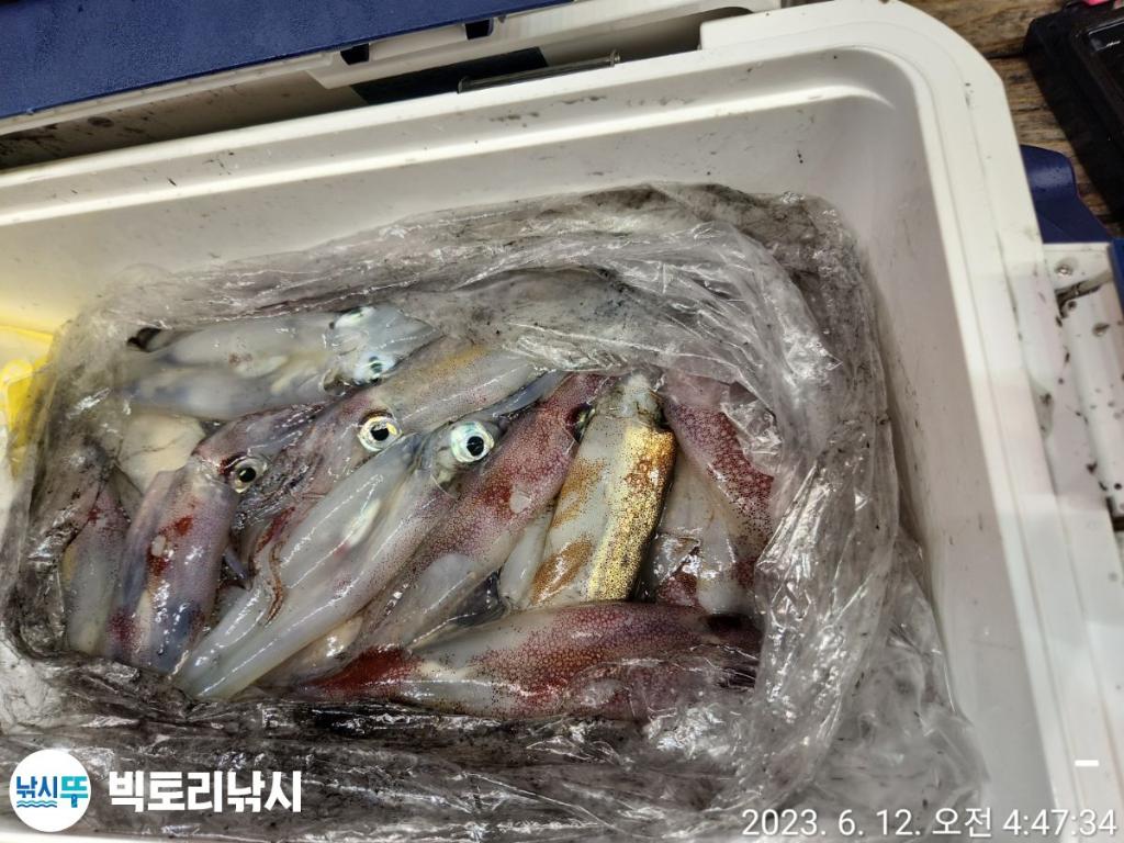 F208112252.jpg