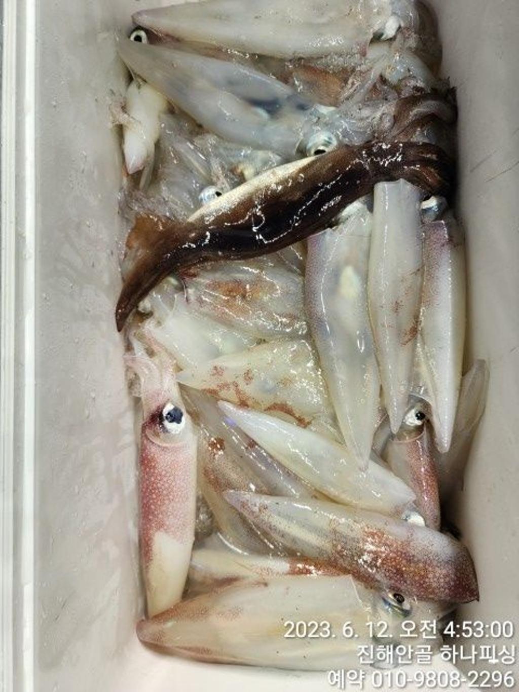 F2082994SG.jpg