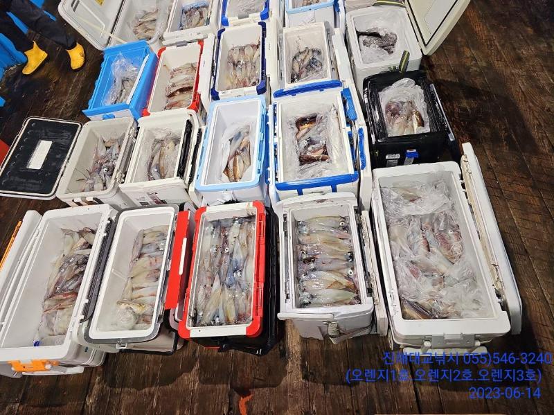 기타 (직접입력), 삼포대교낚시, 낚시뚜