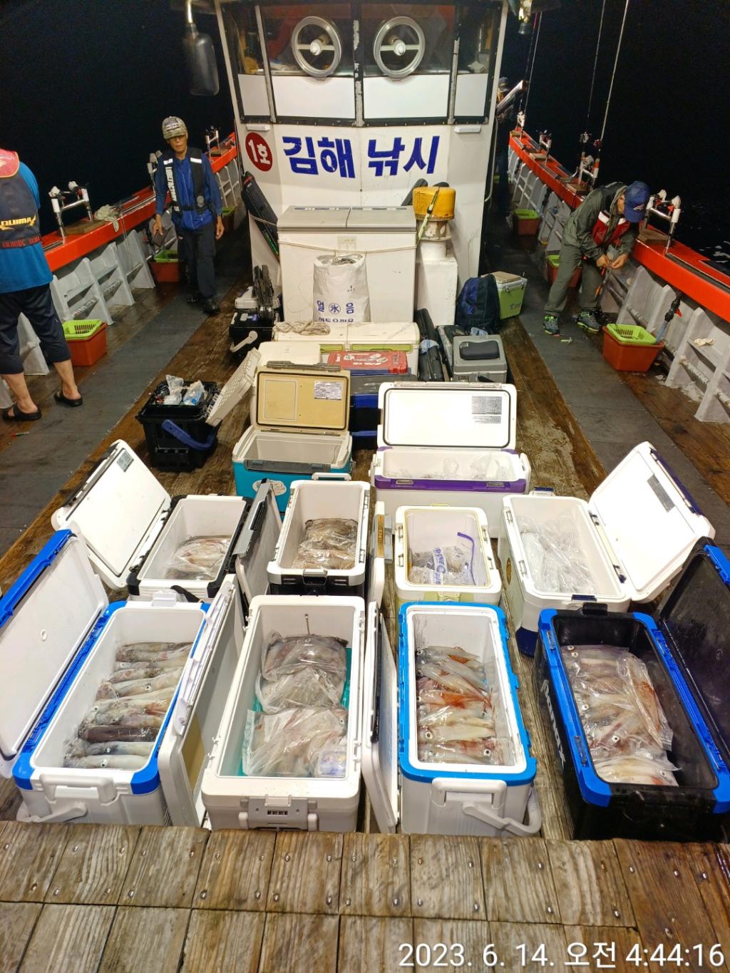 F2084160FL.jpg