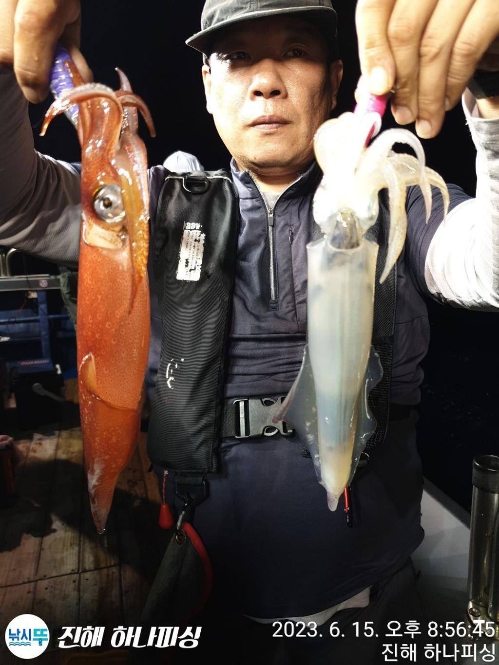 F2087124WB.jpg