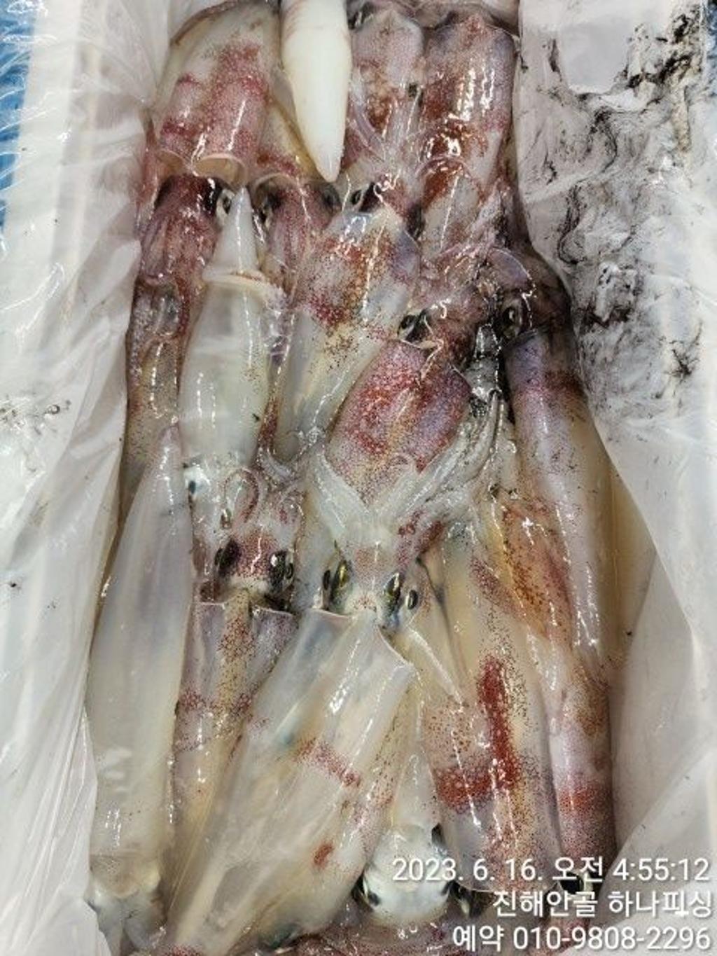 F208713626.jpg
