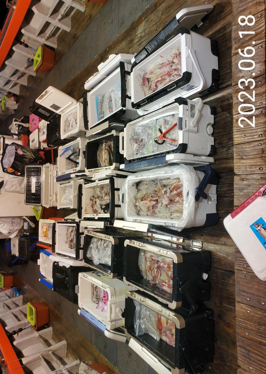 F2089754FS.jpg