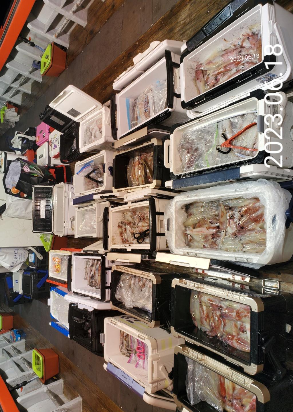F20897553K.jpg
