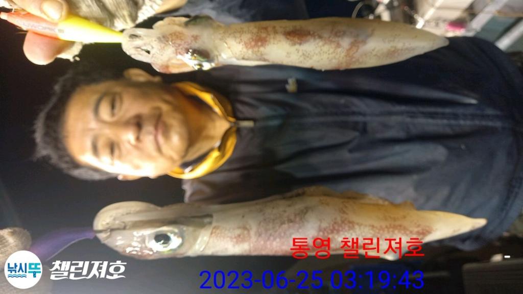 낚시뚜,갈치,한치,통영미수동방파제,챌린져호,낚시뚜30