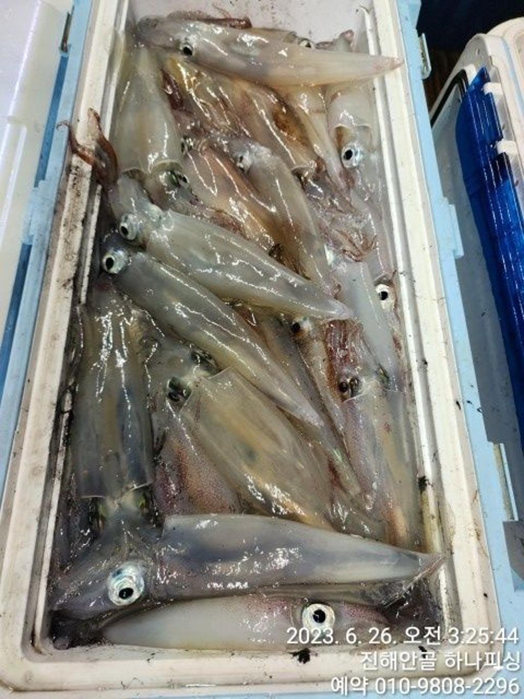 F2098252CH.jpg