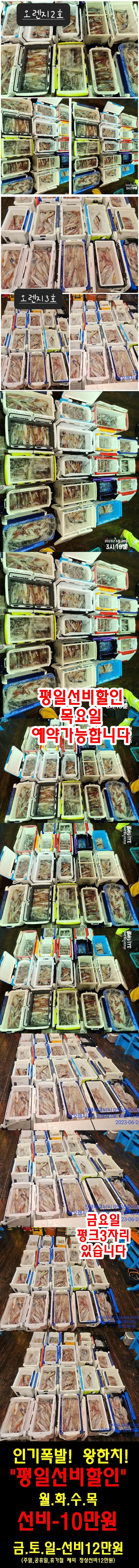 기타 (직접입력), 삼포대교낚시, 낚시뚜
