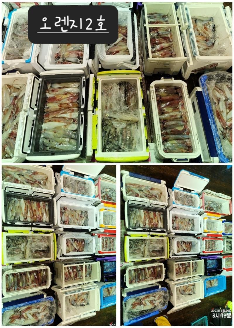 기타 (직접입력), 삼포대교낚시, 낚시뚜