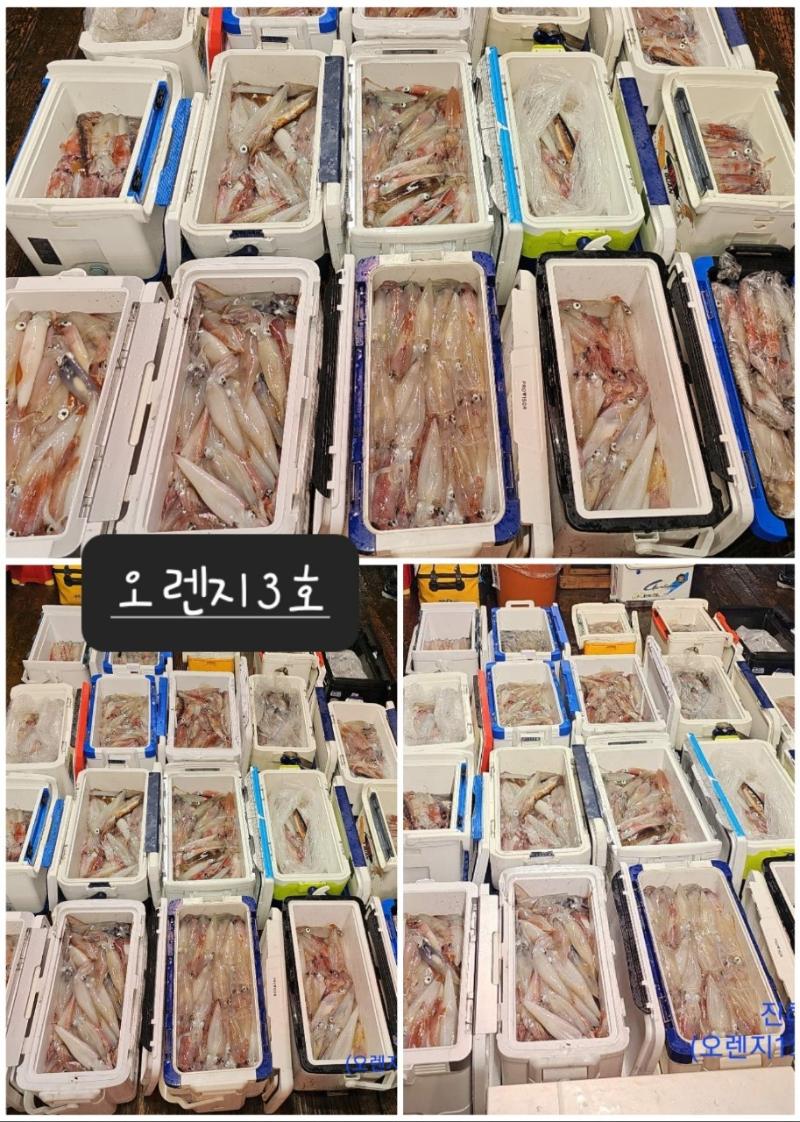 기타 (직접입력), 삼포대교낚시, 낚시뚜