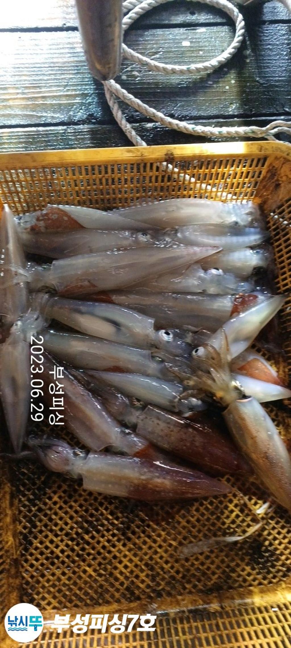 F2100740U3.jpg
