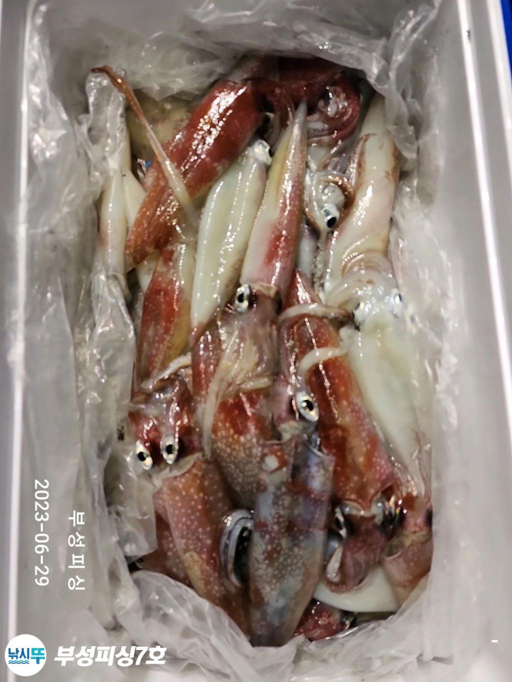 F2100745YK.jpg
