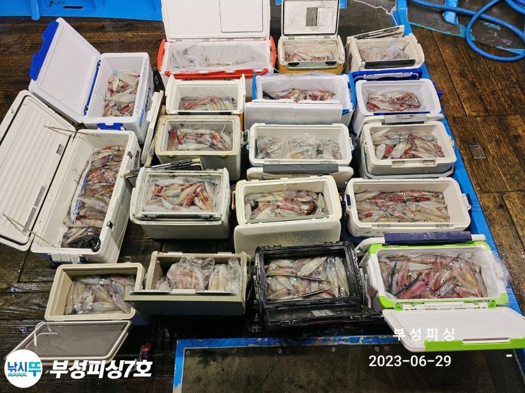 F2100748GI.jpg
