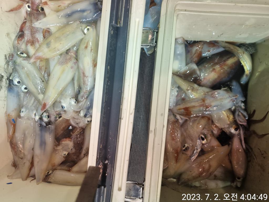 F2103905SP.jpg