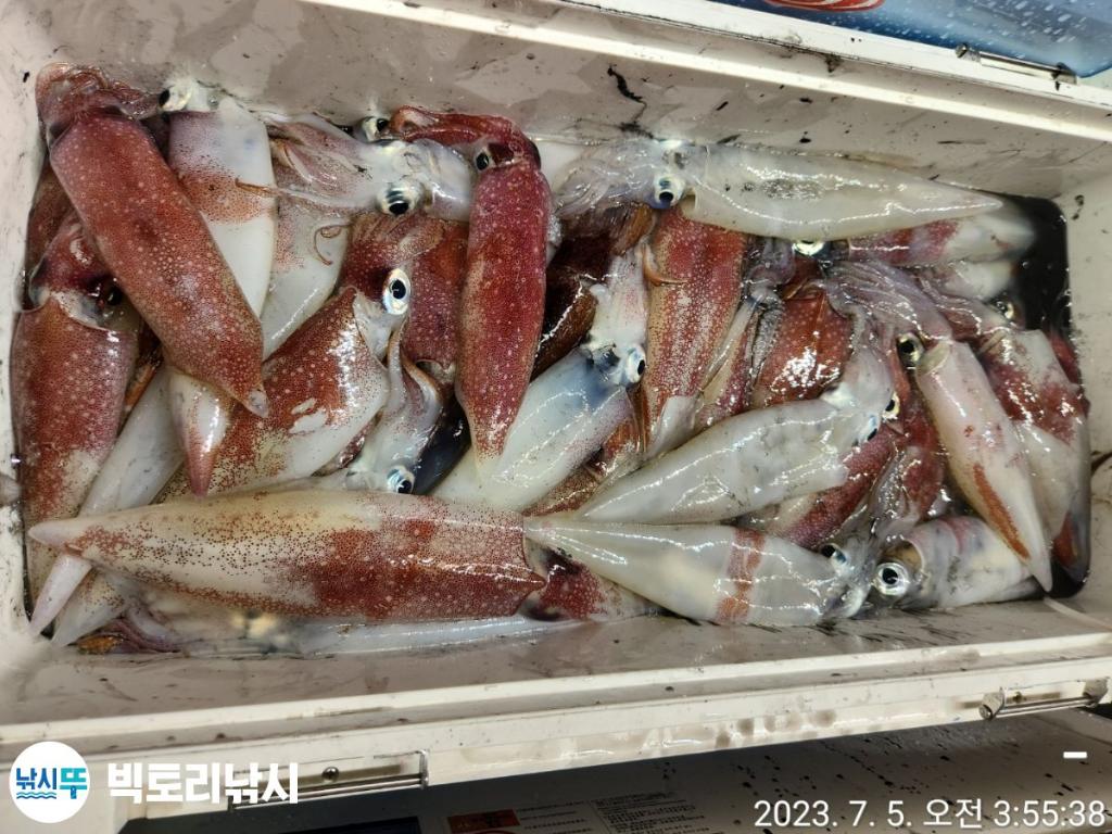 F210861242.jpg