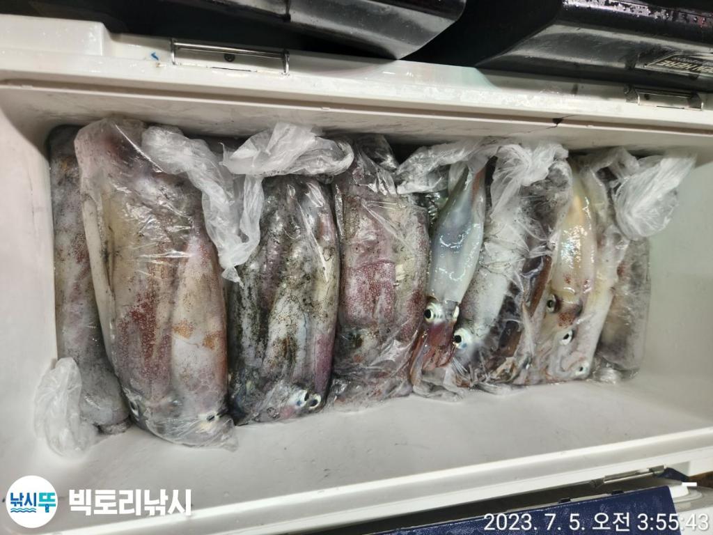 F2108614TV.jpg