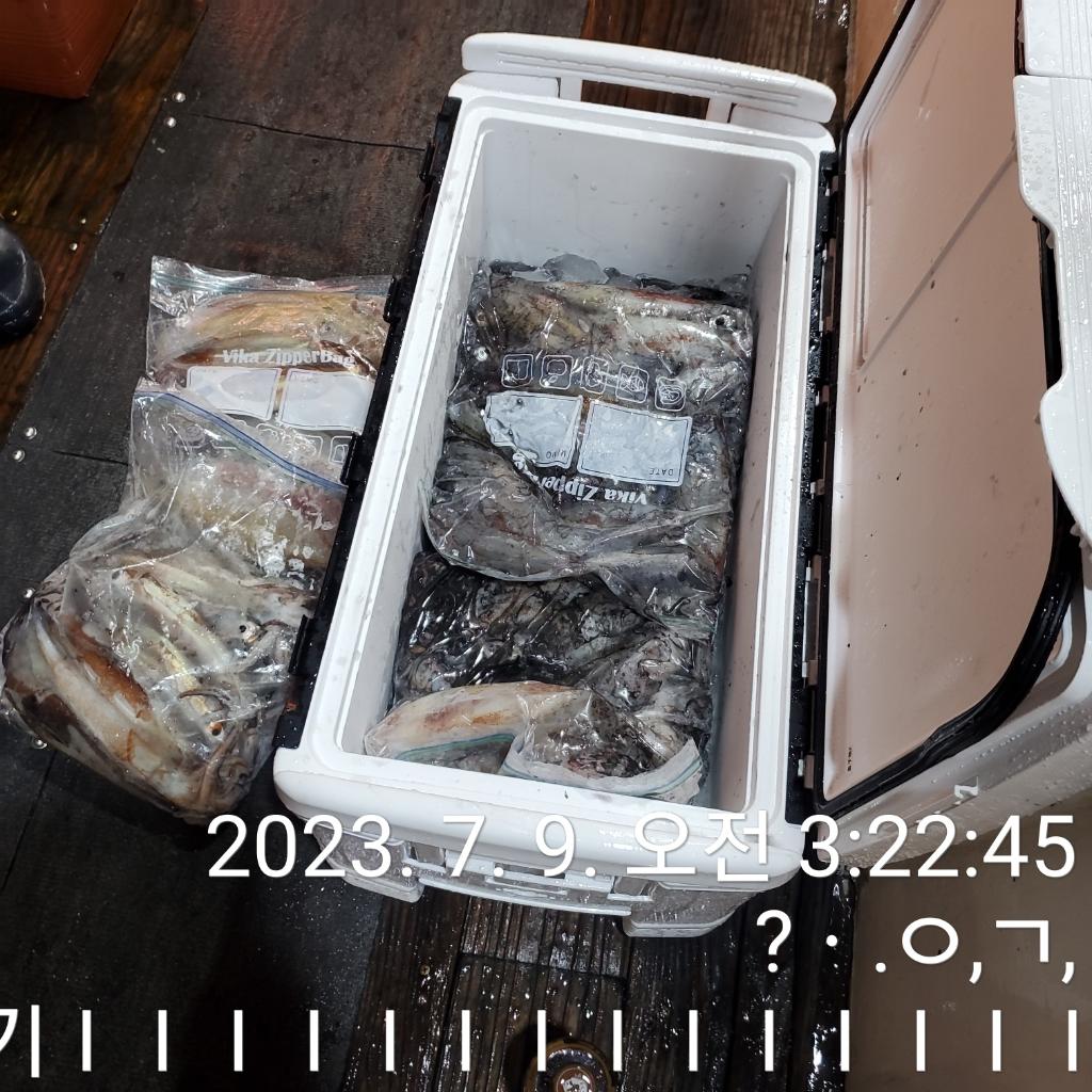 F2109267JN.jpg