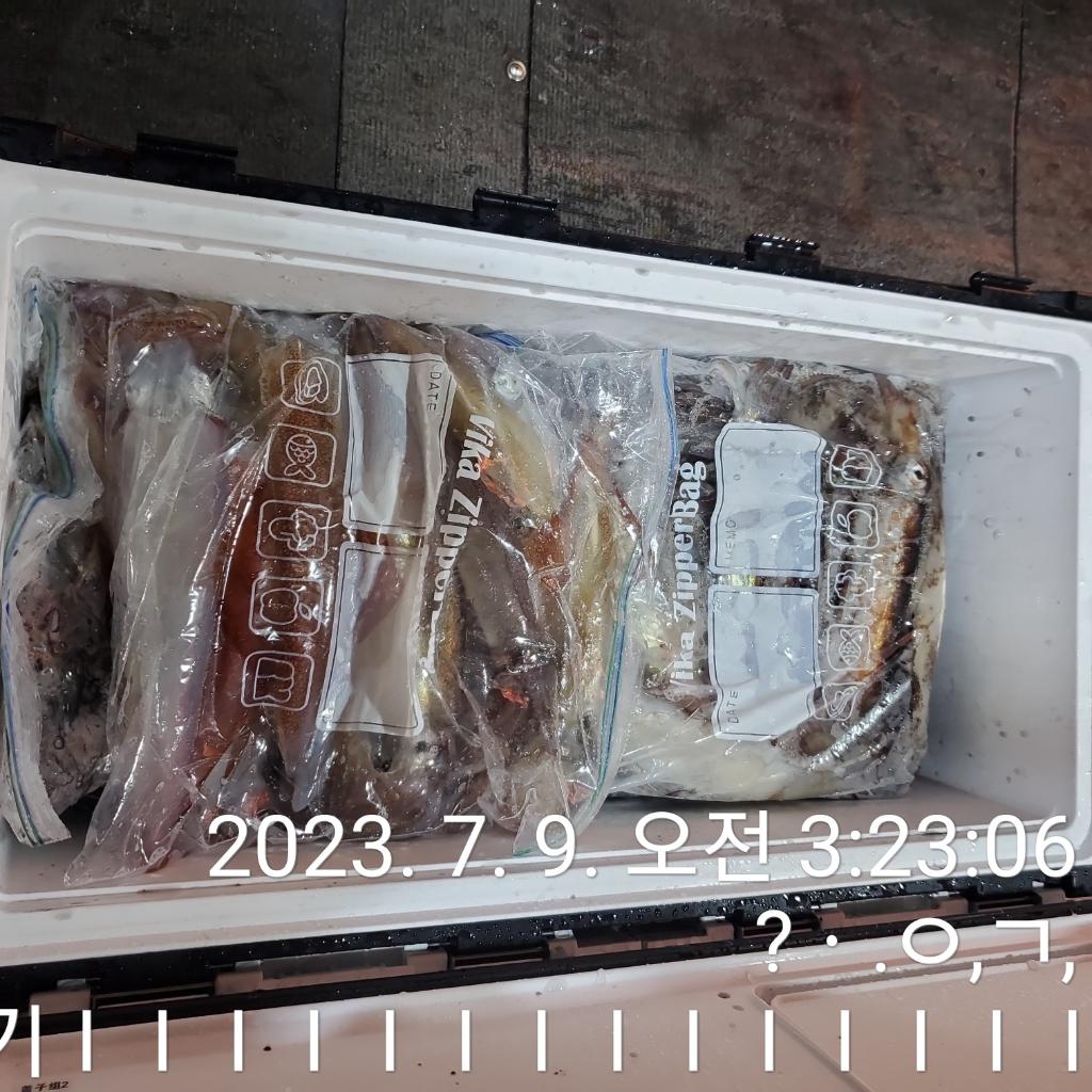 F2109268F3.jpg