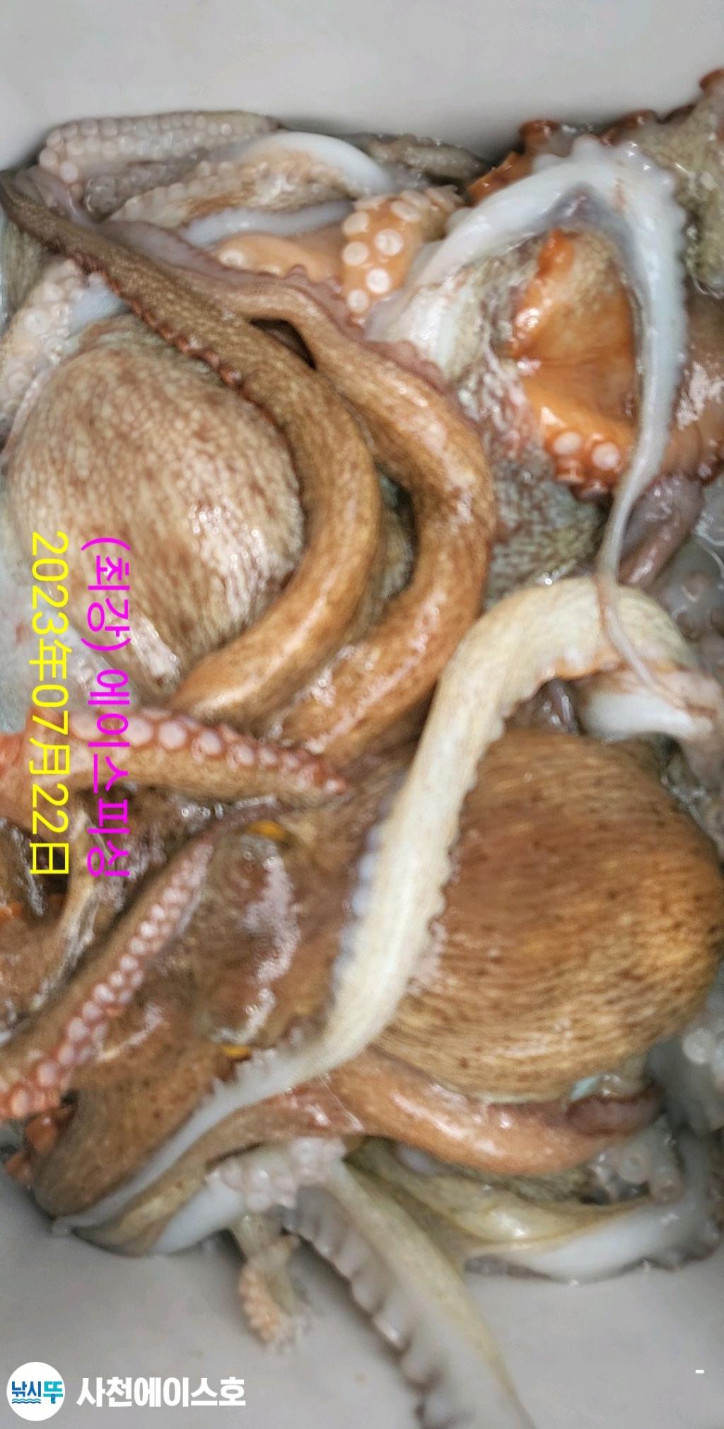 F2120475XV.jpg
