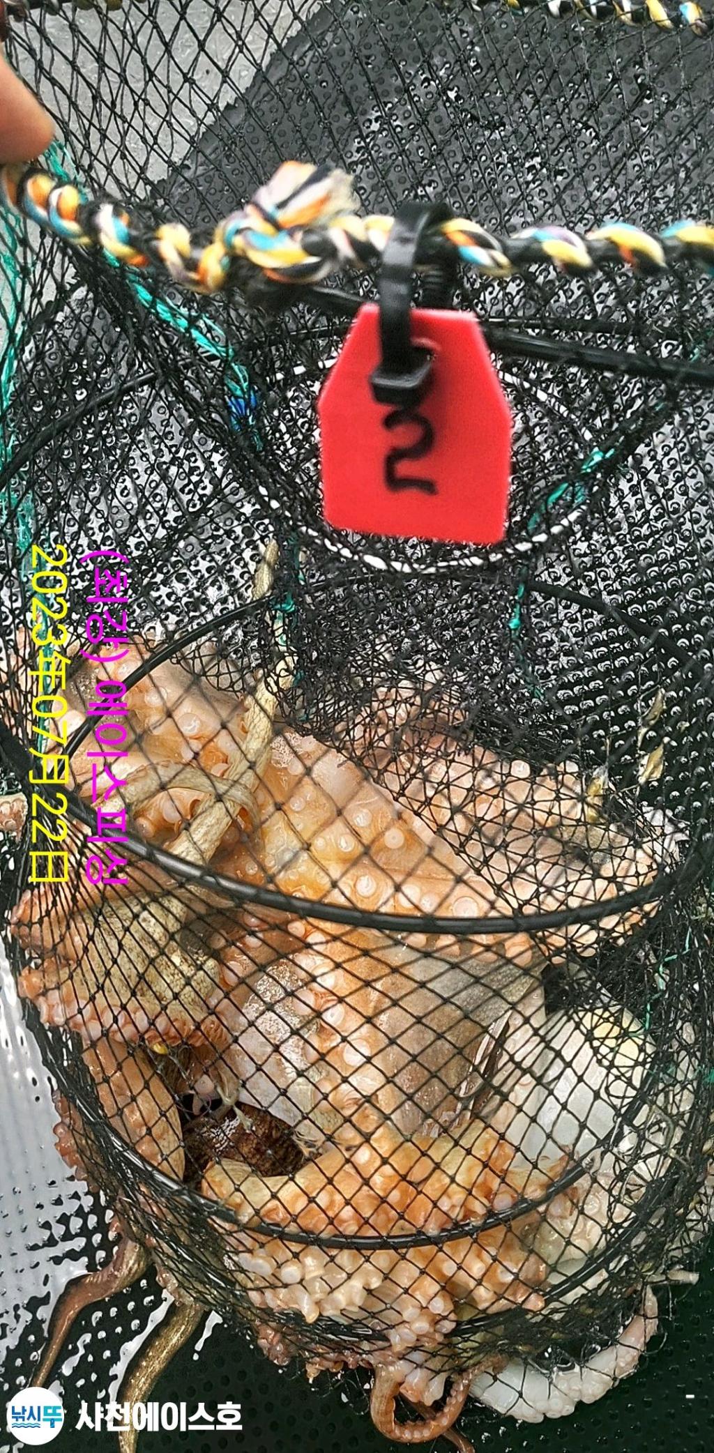F2120476GO.jpg