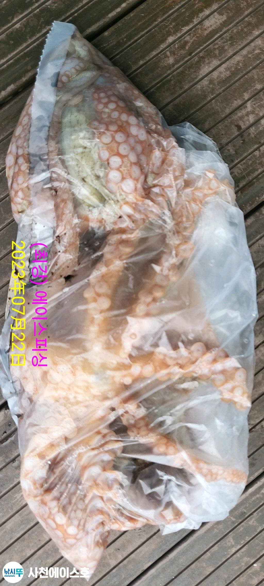 F21204789N.jpg