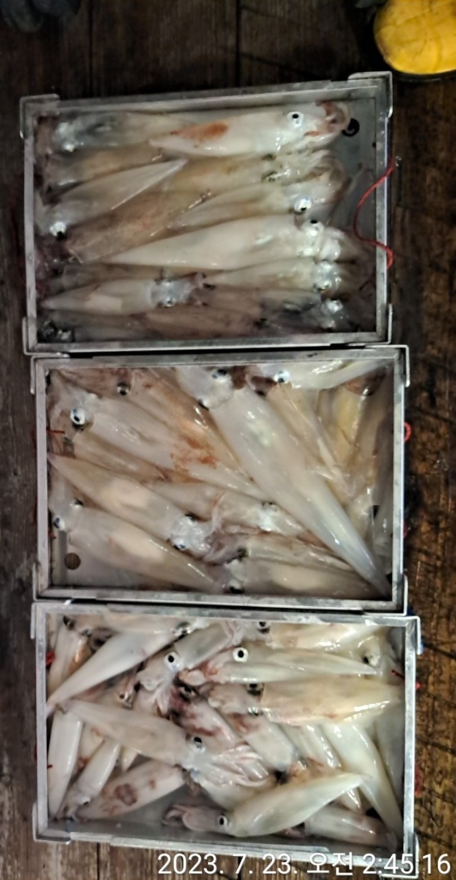 기타 (직접입력), 삼포대교낚시, 낚시뚜