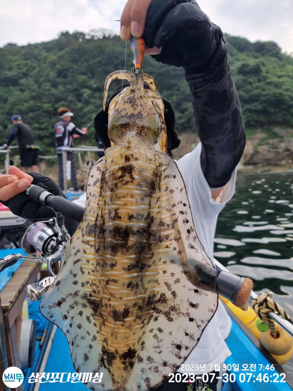 낚시뚜,무늬오징어,삼천포 팔포항,삼천포 다원피싱,낚시뚜2