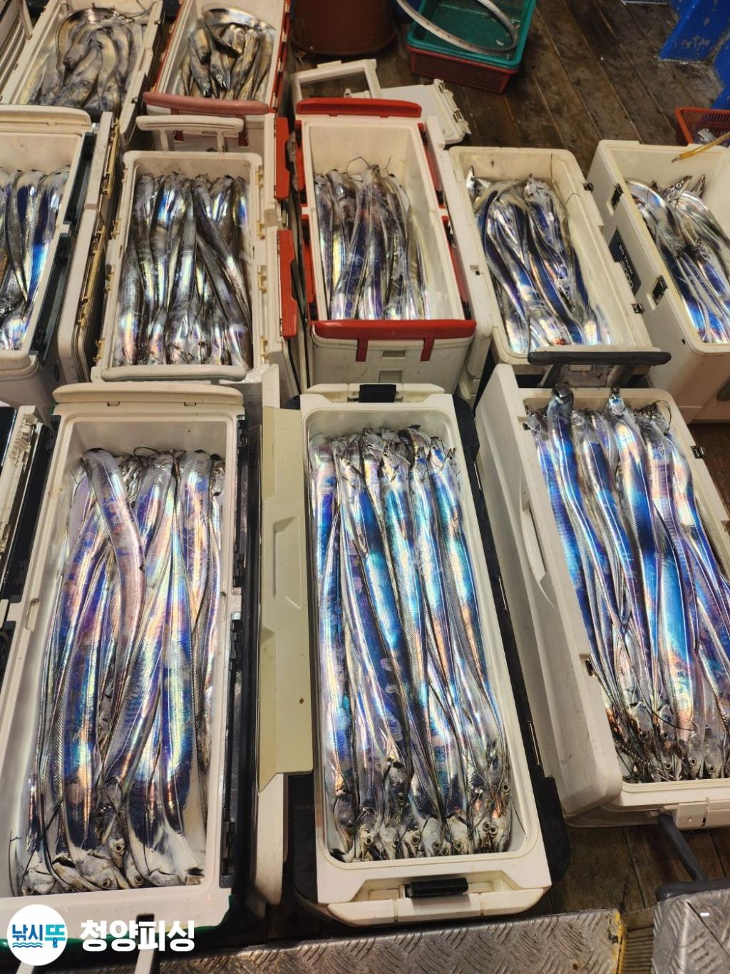 F2135810RO.jpg