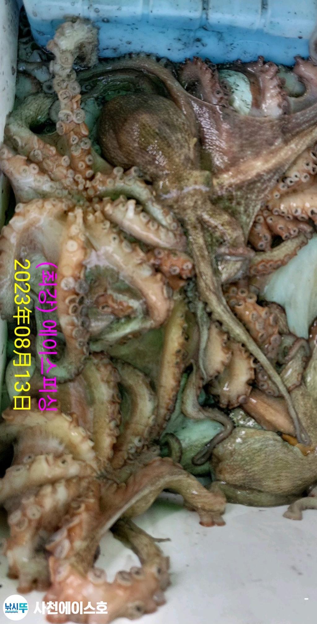 F2138194SG.jpg