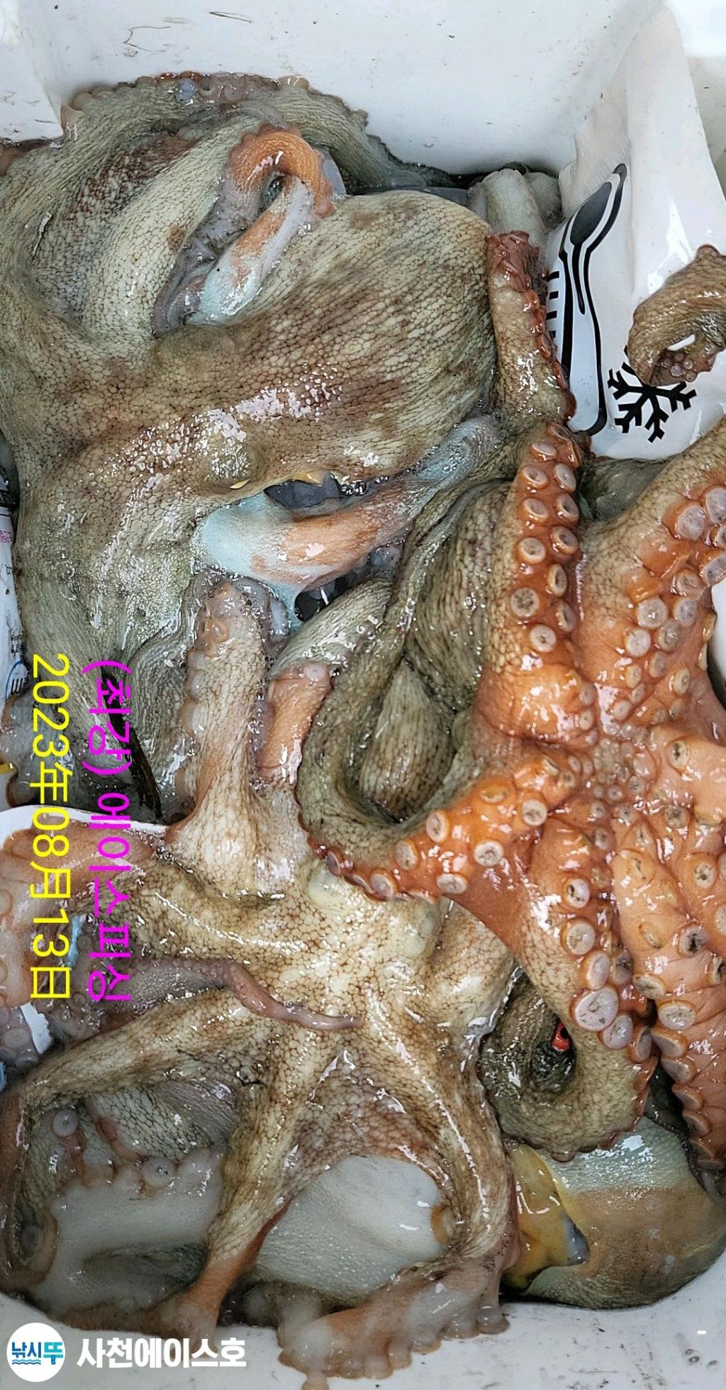 F2138197YB.jpg