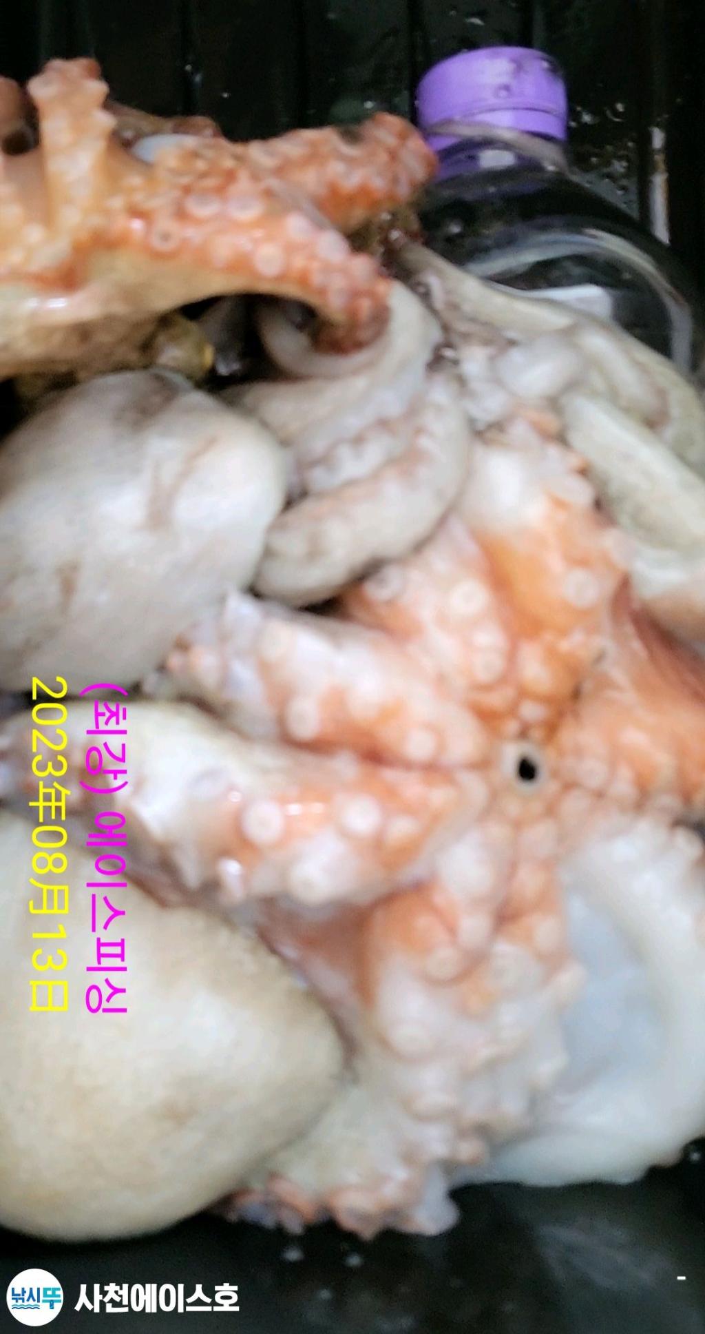 F21381980C.jpg