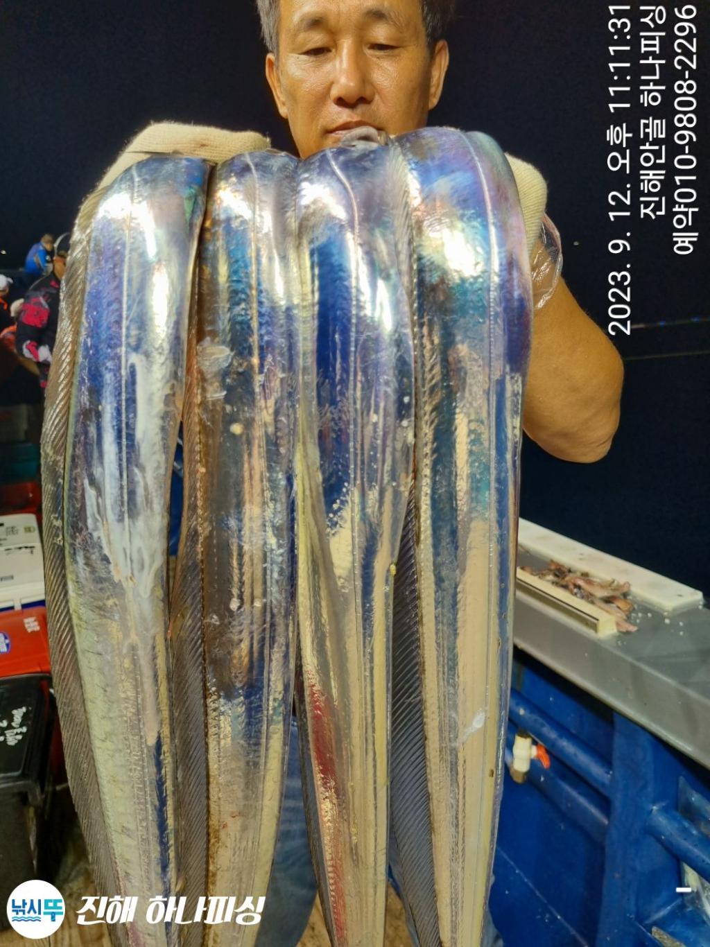 낚시뚜,갈치,진해 안골항,진해 하나피싱,낚시뚜9