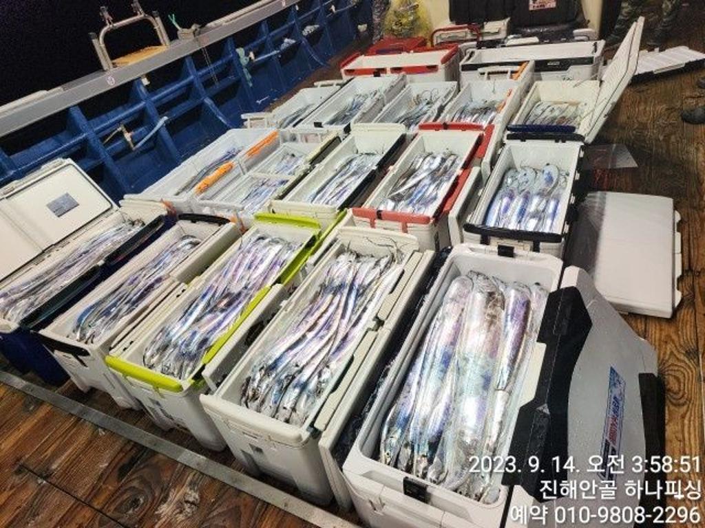낚시뚜,갈치,진해 안골항,진해 하나피싱,낚시뚜4