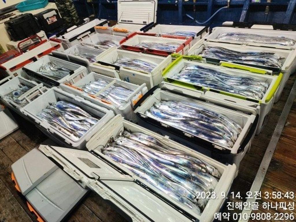 낚시뚜,갈치,진해 안골항,진해 하나피싱,낚시뚜3