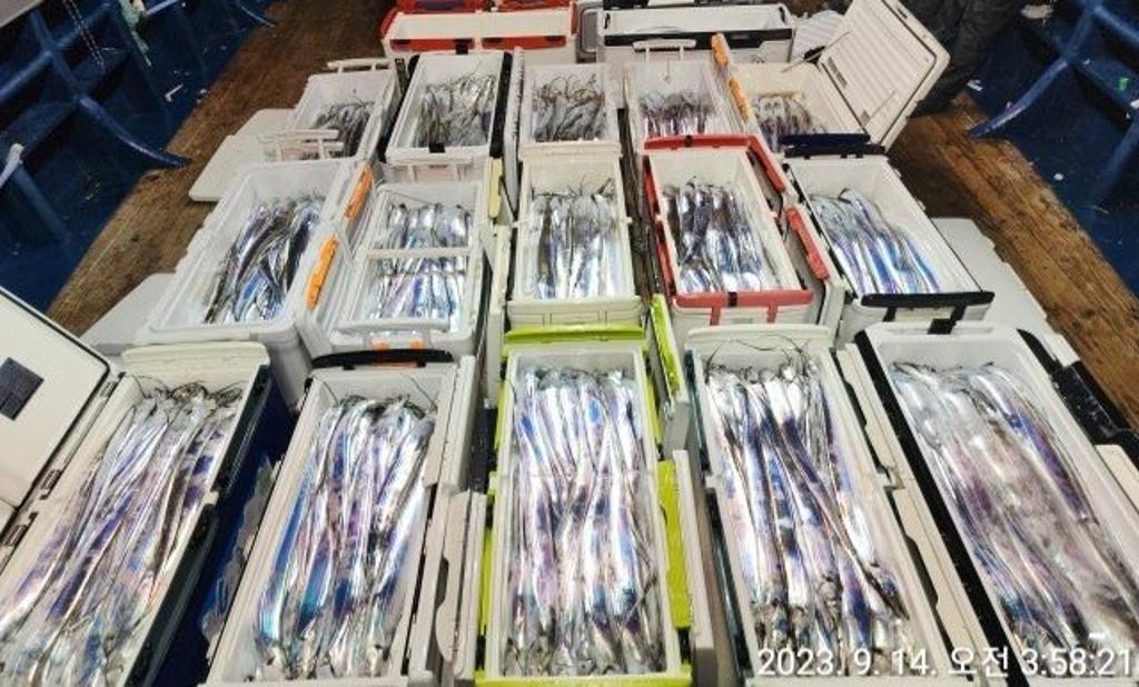 낚시뚜,갈치,진해 안골항,진해 하나피싱,낚시뚜1