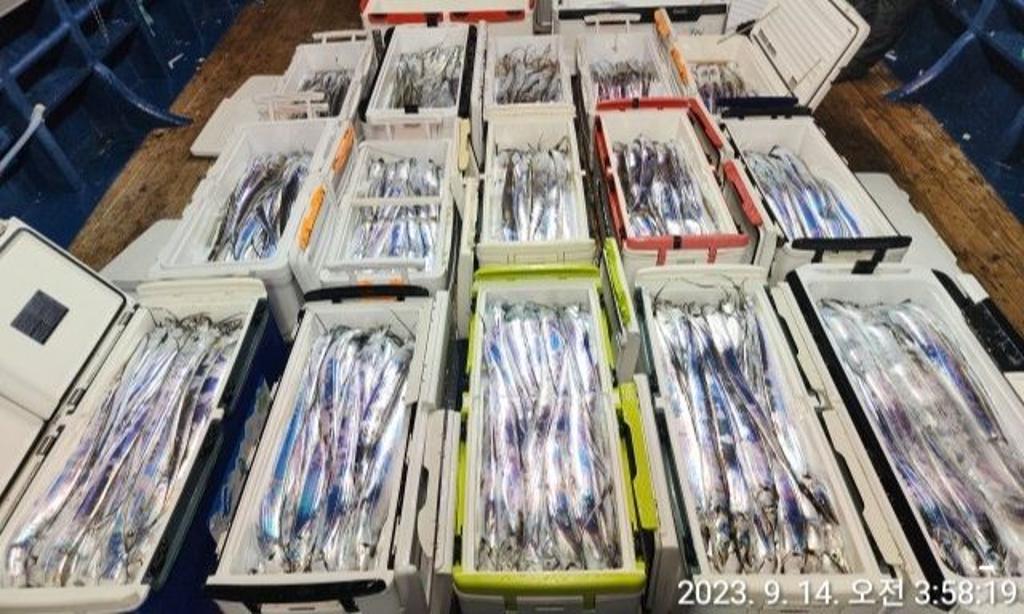 낚시뚜,갈치,진해 안골항,진해 하나피싱,낚시뚜2