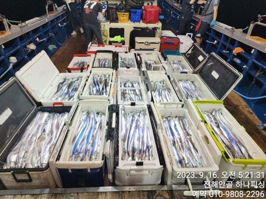 낚시뚜,갈치,진해 안골항,진해 하나피싱,낚시뚜0