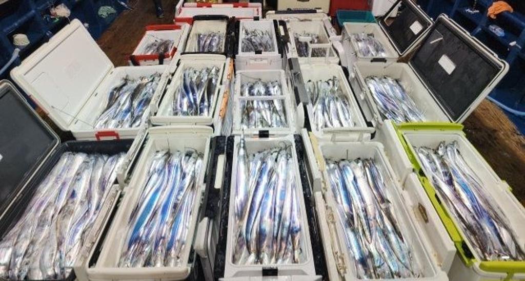 낚시뚜,갈치,진해 안골항,진해 하나피싱,낚시뚜1
