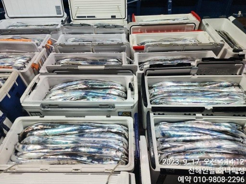 낚시뚜,갈치,진해 안골항,진해 하나피싱,낚시뚜5