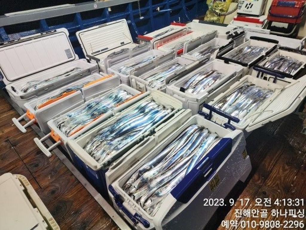 낚시뚜,갈치,진해 안골항,진해 하나피싱,낚시뚜3