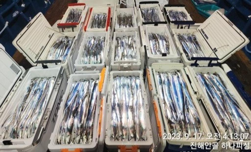 낚시뚜,갈치,진해 안골항,진해 하나피싱,낚시뚜1