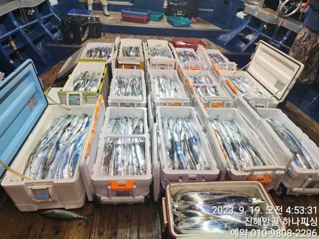 낚시뚜,갈치,진해 안골항,진해 하나피싱,낚시뚜1