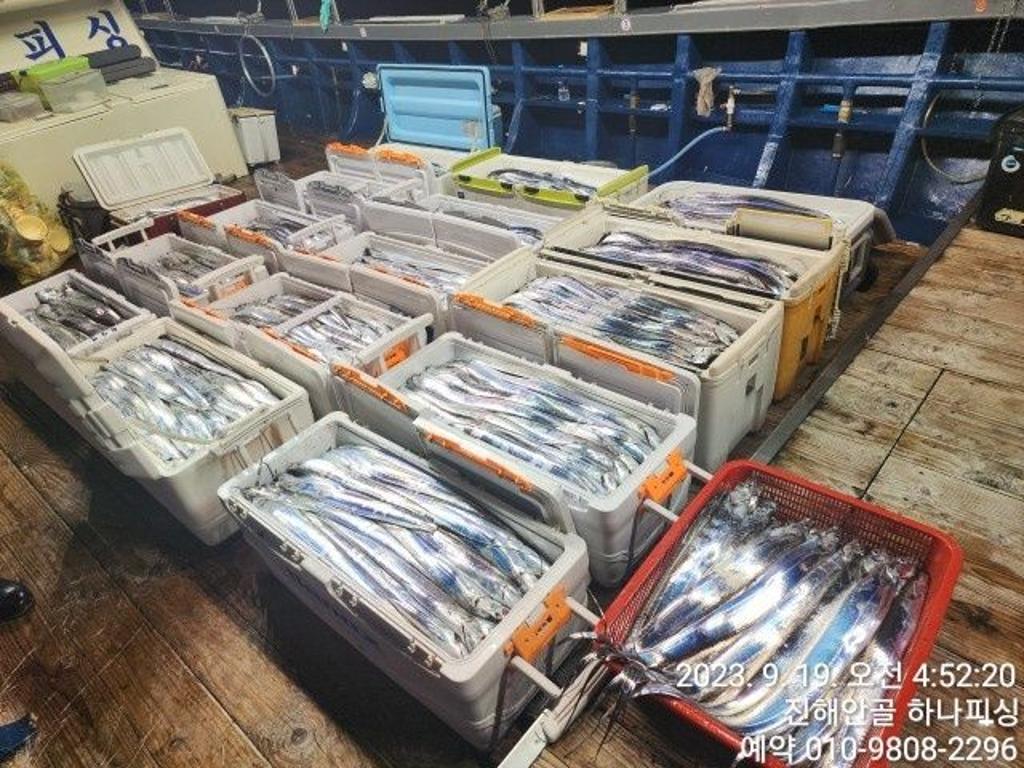 낚시뚜,갈치,진해 안골항,진해 하나피싱,낚시뚜2