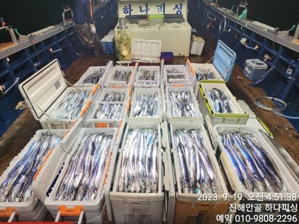 낚시뚜,갈치,진해 안골항,진해 하나피싱,낚시뚜0