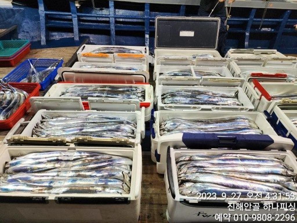 낚시뚜,갈치,진해 안골항,진해 하나피싱,낚시뚜19