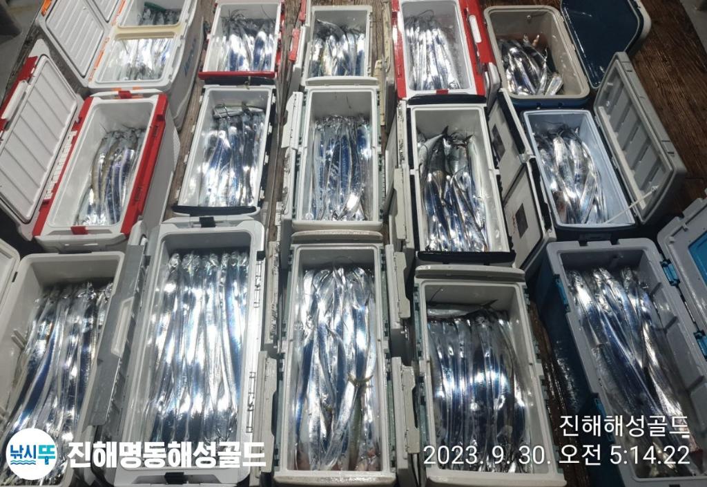 F2202989ZN.jpg