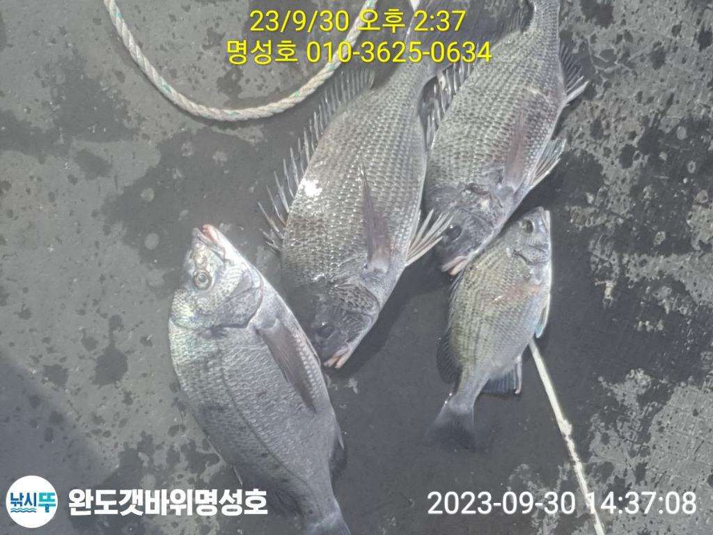 F2203454GA.jpg