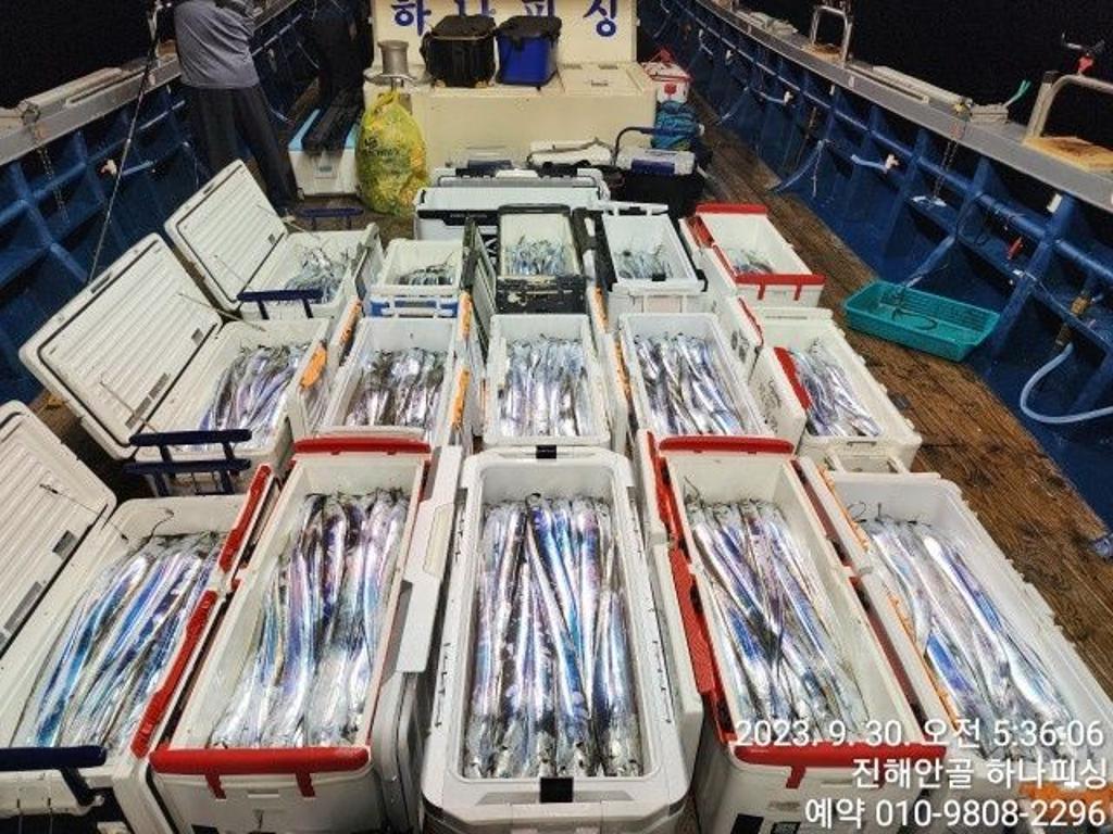 낚시뚜,갈치,진해 안골항,진해 하나피싱,낚시뚜1
