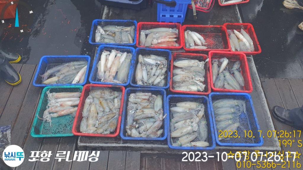 낚시뚜,무늬오징어,구룡포항,포항 루나피싱,낚시뚜9